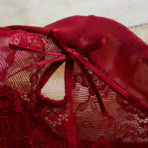 Lingerie sexy en dentelle transparente de luxe pour femmes, culottes confortables grandes tailles, sous-vêtements pour femmes - Product Image 3