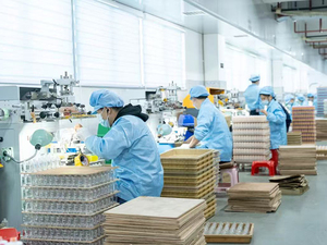 Parche Adhesivo <span class=keywords><strong>de</strong></span> Bambú y Plástico para el Cuidado <span class=keywords><strong>de</strong></span> <span class=keywords><strong>las</strong></span> Venas Varicosas, con Ajenjo, Detox, Adelgazante, Calmante del Dolor - Product Image 6