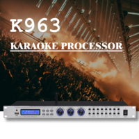 Nouveau processeur de guitare multi-effets en métal avec double écho et réverbération, pour diffusion FM, usage domestique/KTV, USB pour 4 canaux 15W