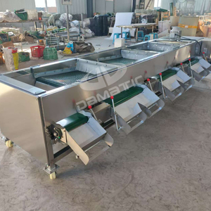 آلة فرز الفواكه والخضروات متعددة الوظائف مصنوعة بالكامل من الفولاذ المقاوم للصدأ 304 لفرز التوت والتمر حسب الحجم - Product Image 6