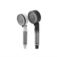 Ensemble de douche mural multifonctionnel de luxe pour la maison avec cartouche filtrante détachable et lavable, pommeau de douche soin de la peau et douchette à main
