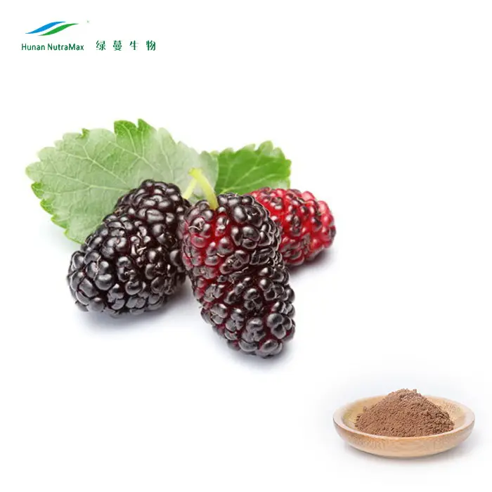 Mulberry Leaf Extract, Traditional Chinese Medicine, Brown-Yellow Powder