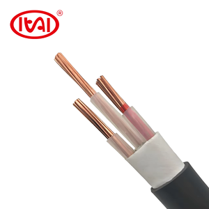저전압 0.6/1KV <span class=keywords><strong>3</strong></span>심 XLPE 절연 PVC 피복 강화 구리 도체 YJV/YJV22 IEC60502 전력 케이블 - Product Image 3