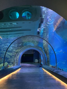 <span class=keywords><strong>Precio</strong></span> del Proyecto de Acuario con Túnel de Vidrio Acrílico Transparente Subacuático - Product Image 2