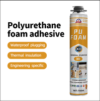 Isolation en mousse de polyuréthane de pulvérisation de mastic liquide en expansion à cellules ouvertes à haute densité pour les matériaux de construction pour l'emballage fabriqué