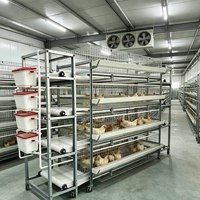 Cage à poules pondeuses de type H, 4 niveaux, 5 portes, 160 poules, cadre en acier haute teneur en zinc, système d'alimentation et d'abreuvement automatique