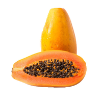 Papaye hybride F1 à haut rendement, pureté 99 %, germination 80 %, pour les producteurs professionnels recherchant une qualité de fruit constante et commercialisable