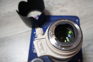 เลนส์เทเลโฟโต้ระดับมืออาชีพ Canon EF 70-200mm f/2.8L IS II USM สำหรับถ่ายภาพสัตว์ป่าและธรรมชาติ - Product Image 6
