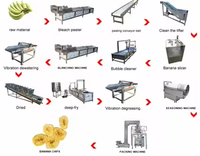 Productielijn aardappel- en plantain/bananenchips snijmachine/snijder, mixer, friteuse, semi-automatisch, food grade roestvrij staal
