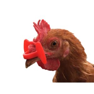 Gafas para Pollos, Producto para Granjas Avícolas, Gafas Rojas Anti-picoteo para Gansos, Gafas <span class=keywords><strong>de</strong></span> Plástico para Ojos <span class=keywords><strong>de</strong></span> <span class=keywords><strong>Pollo</strong></span> - Product Image 1