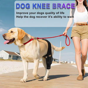 ผ้าพันเข่าสำหรับสุนัขขนาดเล็กและขนาดใหญ่ ช่วยพยุงขาหลังและขาหน้า บรรเทาอาการปวด ฟื้นฟูอาการบาดเจ็บ ปลอกพันเข่าสำหรับสัตว์เลี้ยง - Product Image 6