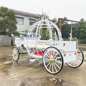 Carruaje Eléctrico Blanco con Forma de Calabaza para Paseos Turísticos, Carruaje sin Caballos para Desfiles, Carruaje Eléctrico Estilo Cenicienta - Product Image 3