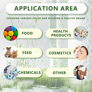 Capsules de glycinate de magnésium naturel de suppléments de magnésium de vente chaude d'OEM - Product Image 4