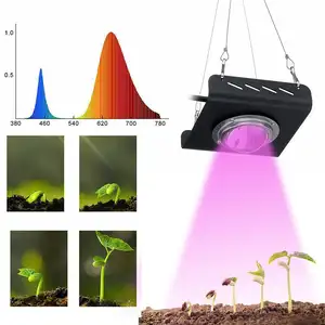 COB светодиодный светильник для выращивания растений, 50 Вт, ультрафиолетовый свет с вентилятором для гидропонной теплицы, овощные суккулентные цветы