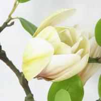 Bunga Magnolia Artifisial PU Sentuhan Asli 4 Kepala Terlaris - Tahan UV Tahan Air Dekorasi Pernikahan 100% Alami