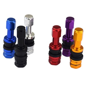 Tiges de valve en alliage d'aluminium TR43E, pièces standard, valves de pneus de voiture tubeless, personnalisation prise en charge - Product Image 1
