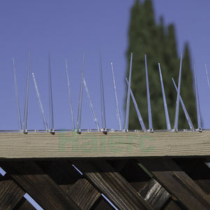 Picots <span class=keywords><strong>anti</strong></span>-oiseaux en plastique Haierc pour le contrôle des oiseaux - Product Image 5