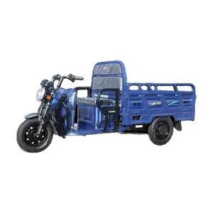 1000W high quality durable customizable adult electric tricycle farm cargo tricycle