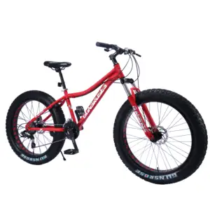 도매 26 인치 스틸 비치 크루저 중국 공급 업체 팻 타이어 산악 자전거