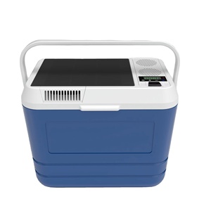 20L Tragbarer Solarbetriebener Wasserdichter 12V Auto-Kühlschrank mit Wiederaufladbarem Akku Eiscreme-Verkaufsausrüstung - Product Image 1