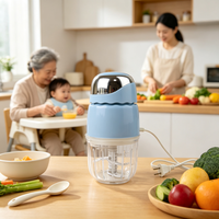 Hachoir Électrique Multifonction Mini pour Aliments Bébé, Mixeur Compact Transparent pour Préparer des Purées Maison Fraîches