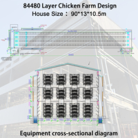 Système de cages en batterie fermées pour poules pondeuses automatiques – Équipement d'élevage avicole