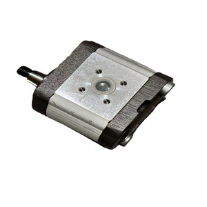 Bomba de Engranajes para Maquinaria de Construcción Xugong 1515 800013 76704 - Product Image 1