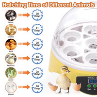 Incubateur automatique à 7 œufs domestique, couveuse numérique et à température réglable pour poulet, chèvre, canard, volaille, Mini manches