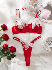 Sweet Sexy Lingerie Mesh Three-Dimensional Embroidery Splicing Comfortable Elegant Sexy Bra Lingerie Three Piece Set for Women - Product Image 6