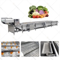 Tomaat Aardappelwortel Gember Groente Waslijn Fruit En Groente Wassen Drogen Mango Fruit Reinigingsmachine