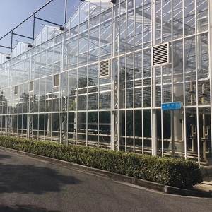 Grande serra da giardino agricola Multi-Span-struttura in vetro <span class=keywords><strong>di</strong></span> alta qualità per una crescita efficiente delle <span class=keywords><strong>colture</strong></span> - Product Image 2