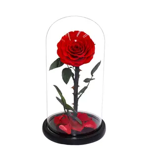 Piccolo principe fiore immortale grande principe rosa festa della mamma regalo di natale di san valentino