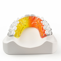 Oral Begg Wrap Around Retainer Diş Modeli Ortodontik Tedavi Sonrası Diş Aralıklarını Kapatır Diş Hekimliği Okulu Eğitim Öğretim Aracı