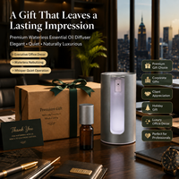 Diffuseur d'huiles essentielles sans eau en métal de 20 ml, kit de démarrage, fonctionne sur piles, mini machine à parfum portable pour la maison, l'hôtel, l'extérieur