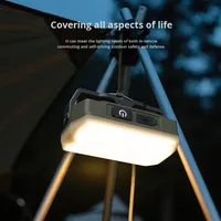 Lampe LED portable professionnelle pour le camping en plein air, projecteur, longue durée de vie de la batterie, lampes d'urgence rechargeables