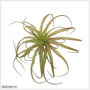 Pianta Artificiale Succulenta Decorativa, Ananas d'Aria in Miniatura, Decorazione da Giardino Ecologica, 20cm, Parete Verde con Succulente Finte - Product Image 4