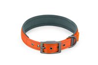 Collier et harnais pour chien en nylon solide, réglable, luxueux, élégant et respirant - Style durable et tendance pour les petits chiens, toutes saisons