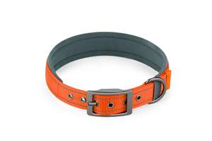 Kerah anjing & tali kekang nilon Solid antilembap, elegan, dapat diatur, gaya fesyen tahan lama untuk anjing kecil sepanjang musim - Product Image 5