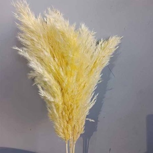 Ins phong cách Bắc Âu nhỏ nhiều màu lau sậy củi Vòng hoa bạch đàn thật và lau sậy khô bó hoa cho đám cưới và trang trí nhà - Product Image 3