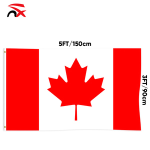 Venta al por mayor decorativa colorida <span class=keywords><strong>bandera</strong></span> del mundo poliéster 3*5 pies Palestina Haití México <span class=keywords><strong>bandera</strong></span> nacional para deportes al aire libre - Product Image 5