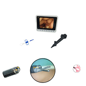 Broncoscopio Veterinario Digital Flexible de Un Solo Uso Ojos, Instrumentos Portátiles de Mano para Cirugía Canina, Ecológicos - Product Image 1