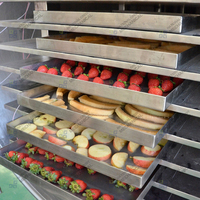 Machine de lyophilisation commerciale pour raisins et tomates, équipement de séchage par congélation, lyophilisateur alimentaire