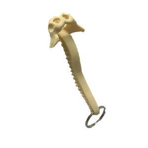 Modelo de faja espinal humana en miniatura Llavero pélvico occipital <span class=keywords><strong>posterior</strong></span> para ciencia médica - Product Image 2