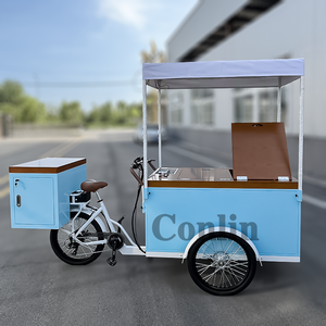 Chariot de crème glacée vélo électrique chariot de vélo de glace pilée chariot de Popsicle congelé à vendre - Product Image 2