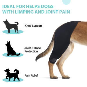 Tutore per gamba del cane ortopedico in Neoprene per Pet supporto per le ginocchia Pet protettore per il recupero delle gambe tutore per il guinzaglio del cane riduce il dolore articolare ginocchiera del cane - Product Image 5