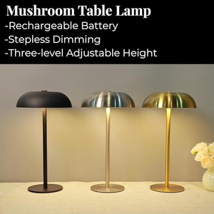 Lampe en métal acrylique sans fil rechargeable par USB, design moderne minimaliste, corps flexible en fer, pour la décoration de la maison/du bureau/de la chambre - Product Image 3