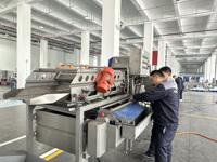Productielijn voor salades op maat, inclusief machines voor het wassen en ontwateren van verse snijgroenten voor saladefabrieken