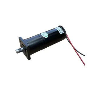 64(216)i 110V 110ZYT DC Planetary Motor 245W Dc Motor Permanent Magnet Low Noise 1500RPM Mini Brushed Electric Motor