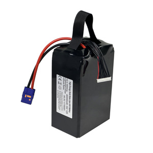 Batterie à semi-conducteurs 410Wh/kg 12S 40Ah 44.4V 40000mAh 5C Haute Puissance pour Drones EVTOL Robustes et Systèmes d'Automatisation MAS-SS410 - Product Image 2