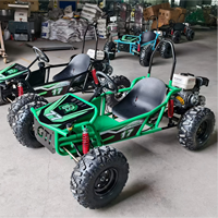 Go Kart Profesional Todoterreno a Gasolina, Buggy de Carreras de 212 CC y 4 Tiempos para Adultos y Adolescentes, Vehículo de Entretenimiento Comercial de Alta Resistencia